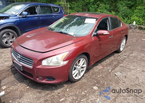 2010 Nissan Maxima 3.5 Sv z USA, uszkodzony, nr VIN 1N4AA5AP9AC802188